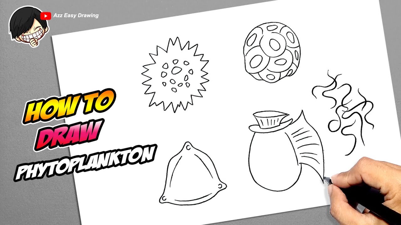 How to draw phytoplankton