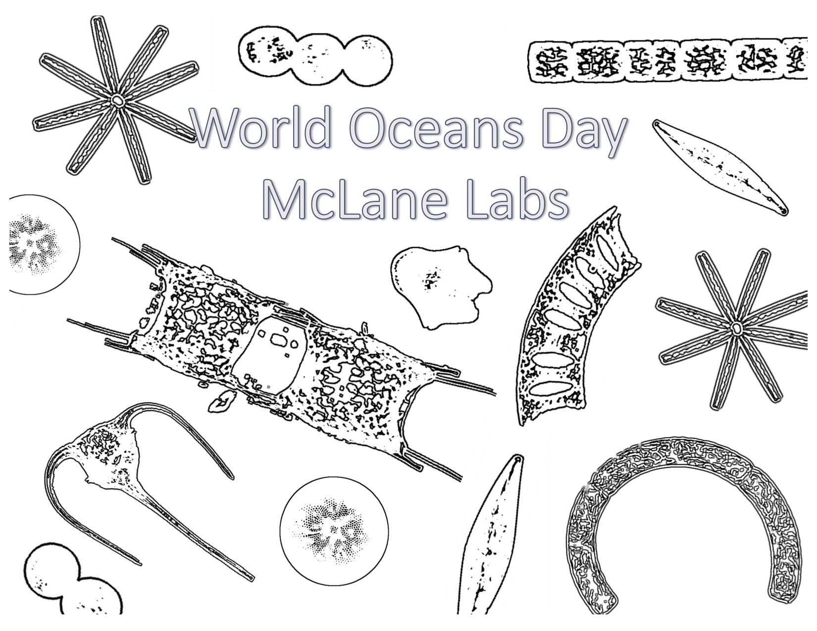 Phytoplankton coloring page for world oceans day