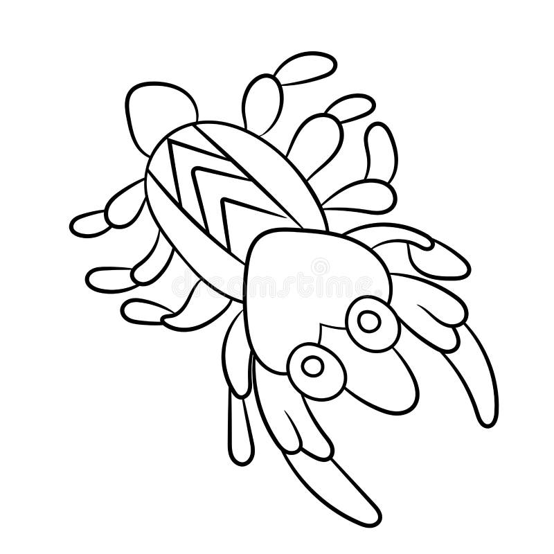 Plankton outline stock illustrations â plankton outline stock illustrations vectors clipart