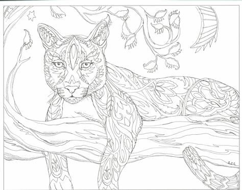Pin by pia jãrgensen on mal svãr coloring pictures of animals adult coloring book pages small drawings
