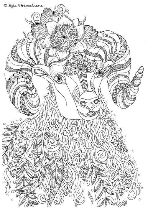 Pin by julie herring on paper craft coloring pages animal coloring pages coloring books