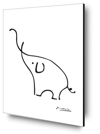 Elephant line