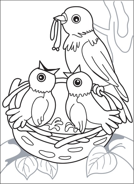 Imãgenes fotos de stock objetos en d y vectores sobre bird nest coloring page