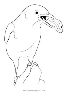 Crows coloring pages