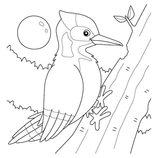 Premium vector woodpecker bird animal coloring page for kids