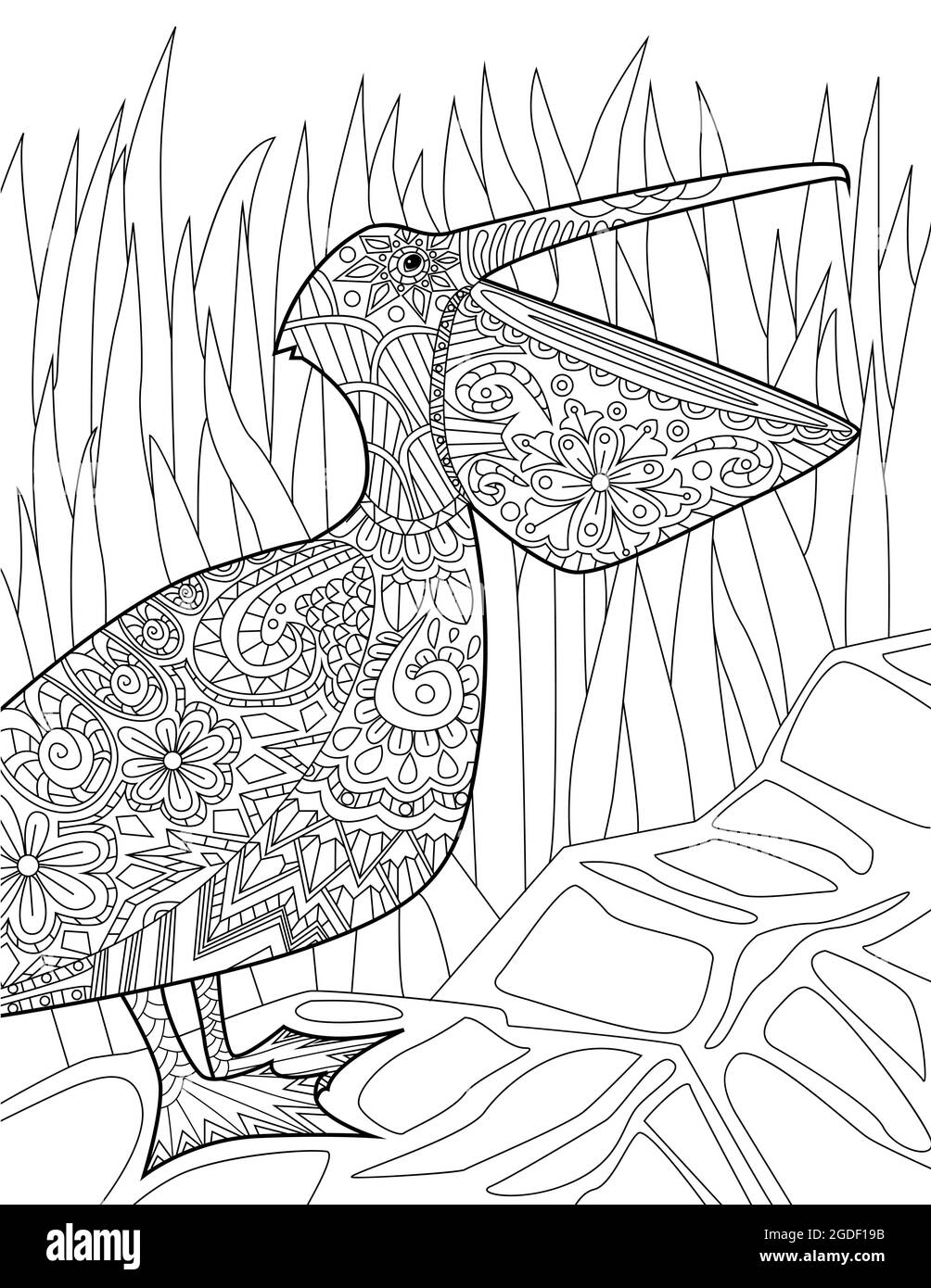 Pelãcano grande de pie mirando hacia arriba hierba alto fondo dibujo de lãnea incolora pãjaro con pico grande abierto pãgina del libro de colorear imagen vector de stock