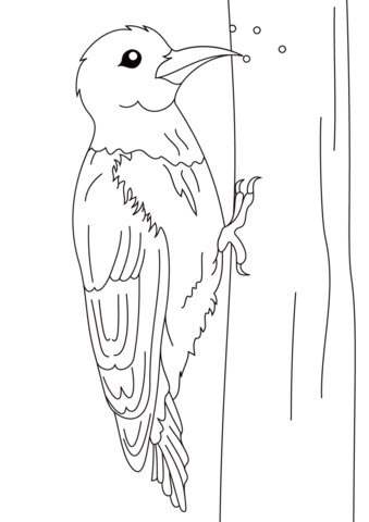 Woodpecker coloring page free printable coloring pages