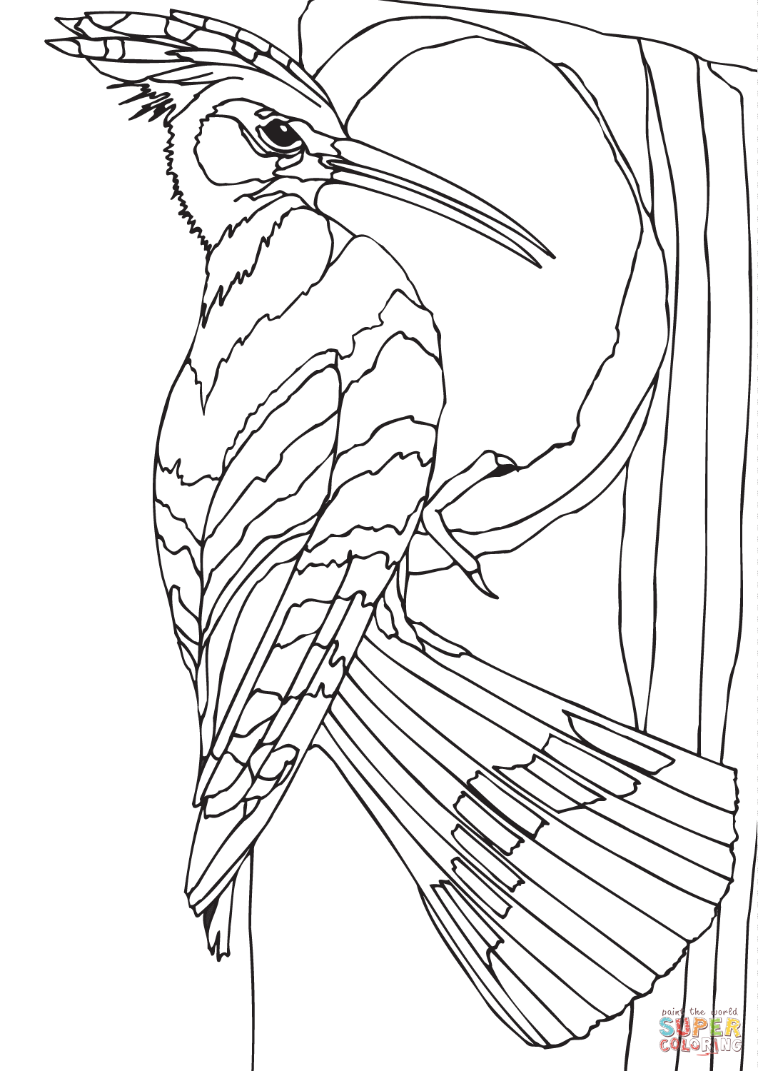 Woodpecker coloring page free printable coloring pages