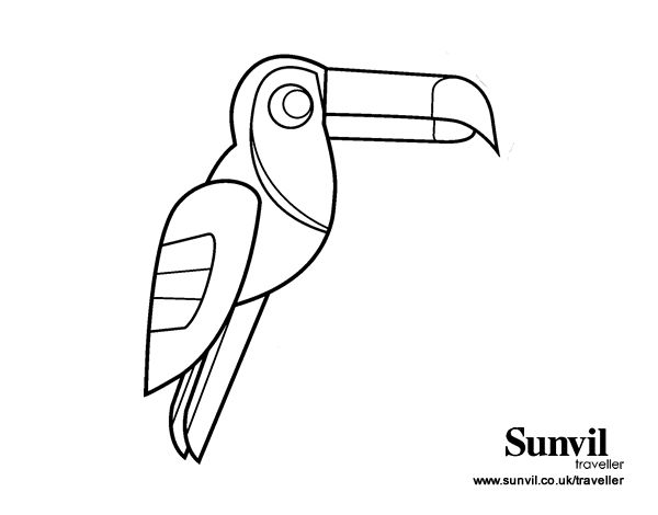 Dibujo de pãjaro tucãn para colorear dibujos de pãjaro pajaros dibujos de animales