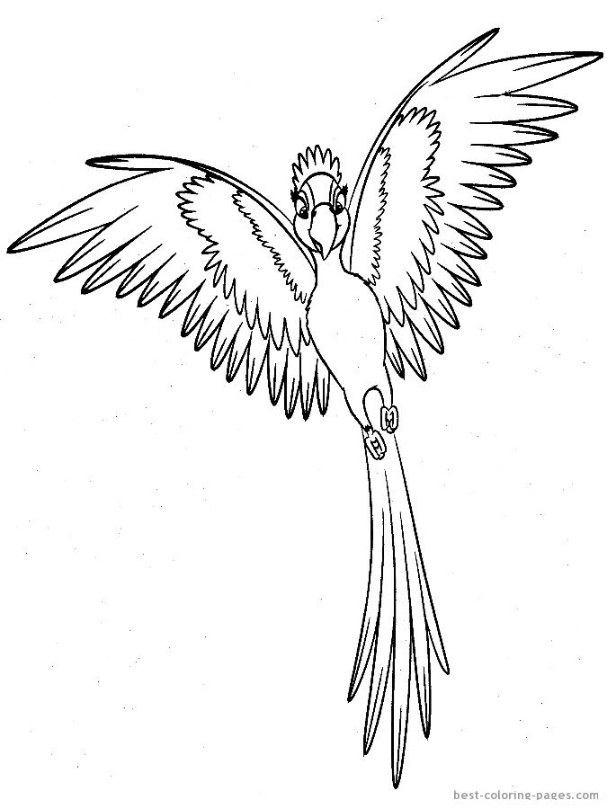 Pin on ééç
