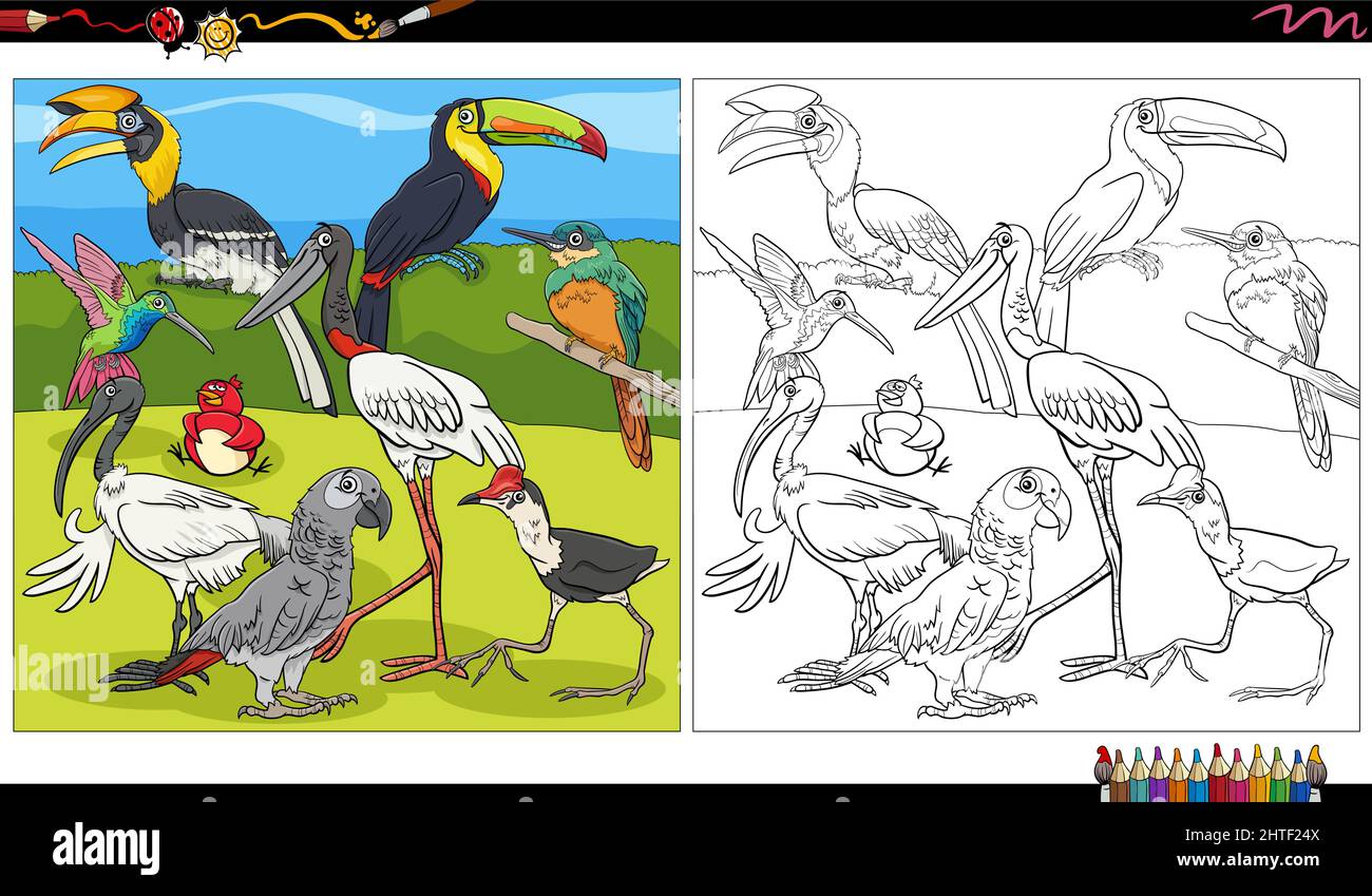 Libro para colorear con pãjaros fotografãas e imãgen de alta roluciãn