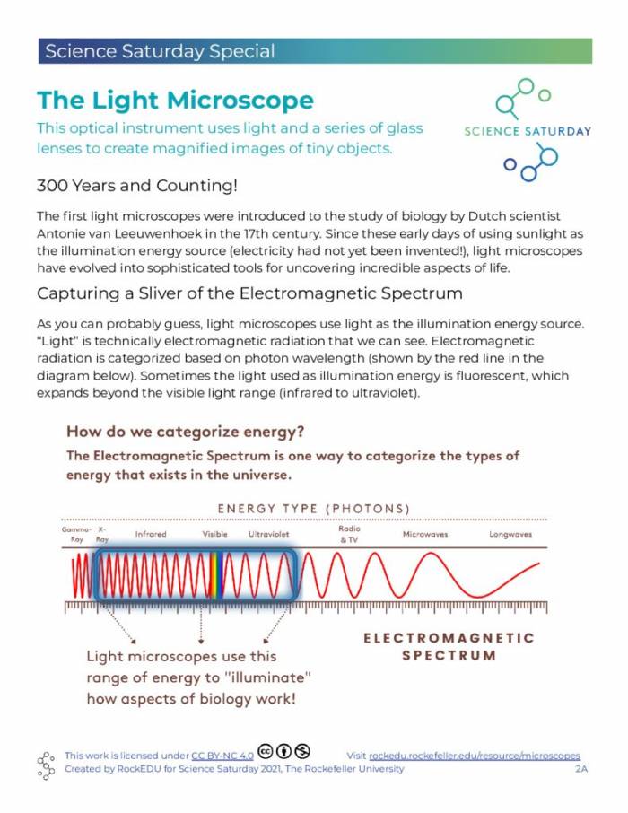 Learn about microscopes