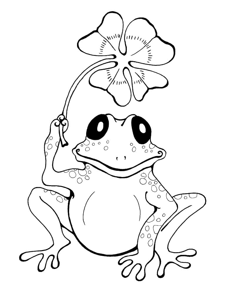 Frog with four