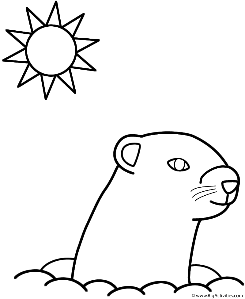 Groundhog