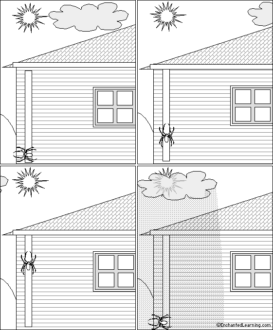 Itsy bitsy spider sequencing cards