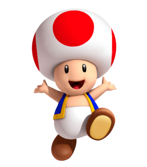 Toad nintdo