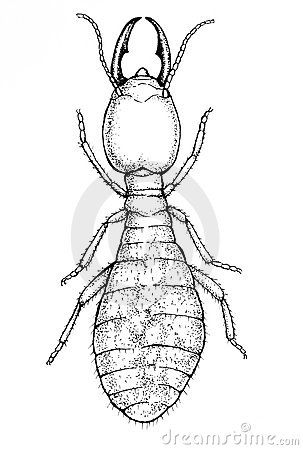 Worker termite illustration termites coloring pages illustration