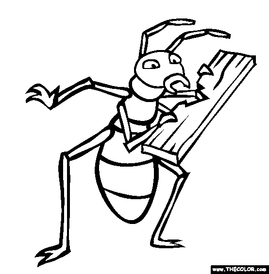 Insect online coloring pages