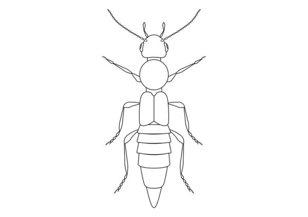 Queen termite vector images