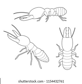 Termite book over royalty