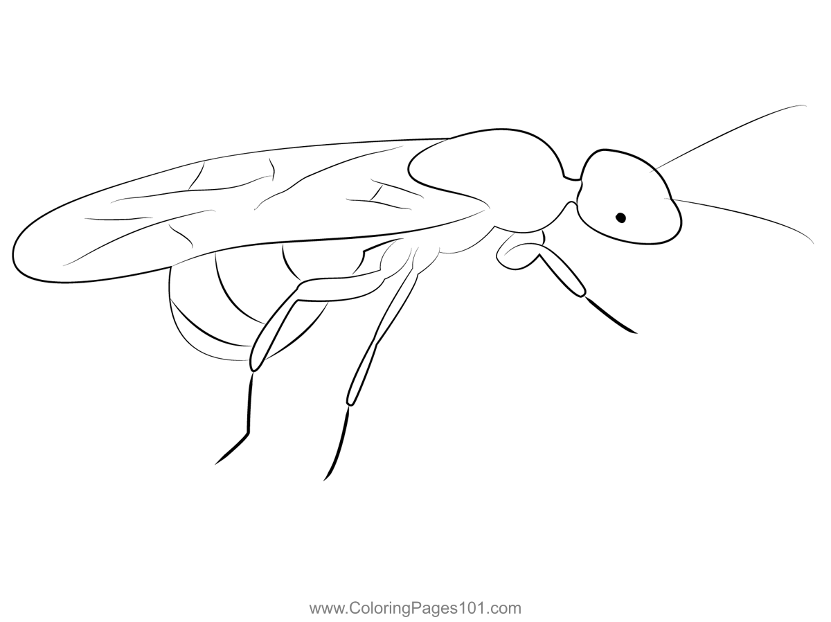 Termites coloring page for kids