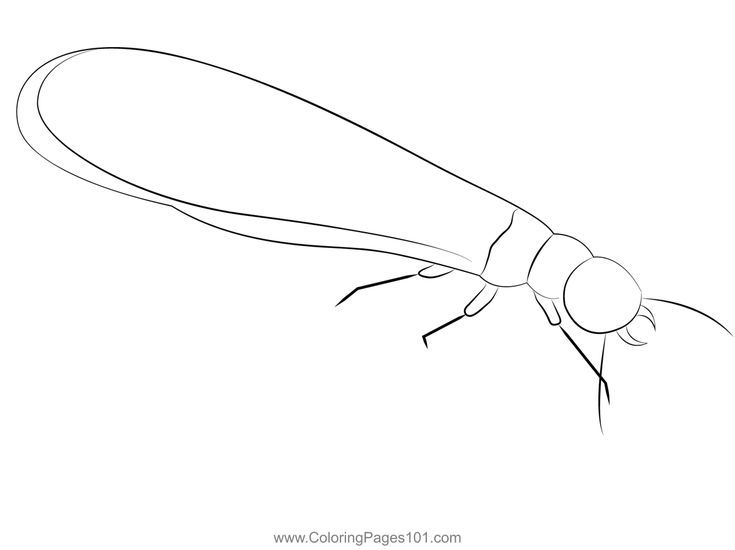 Black termites coloring page coloring pages color printable coloring pages