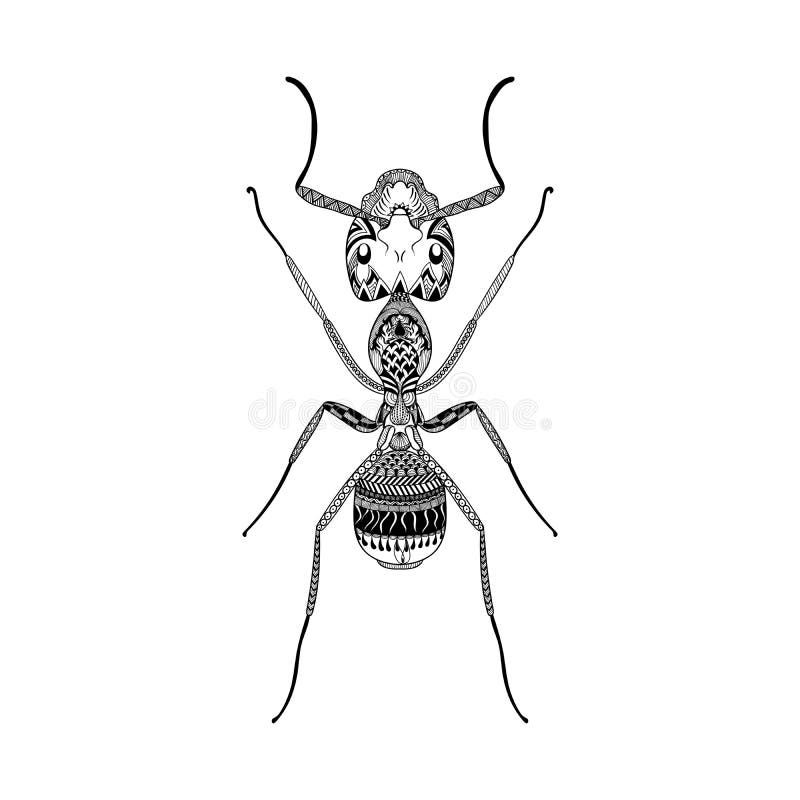 Black termite stock illustrations â black termite stock illustrations vectors clipart