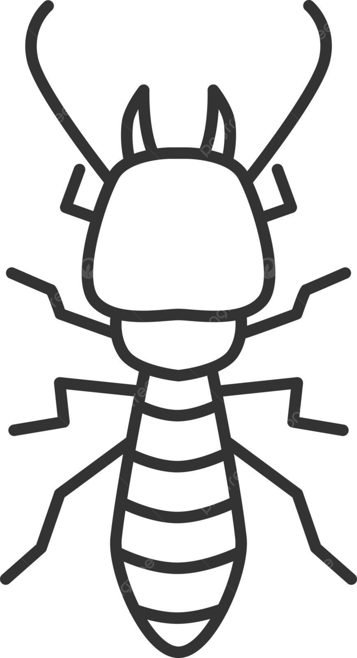 Termites png vector psd and clipart with transparent background for free download