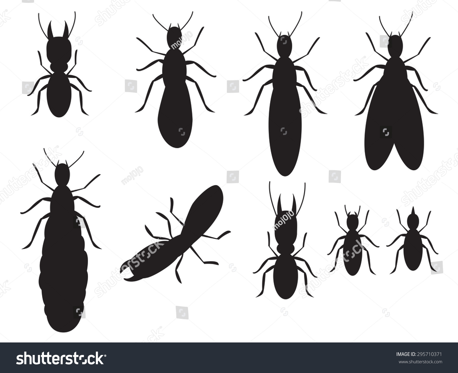 Termite wood images stock photos d objects vectors