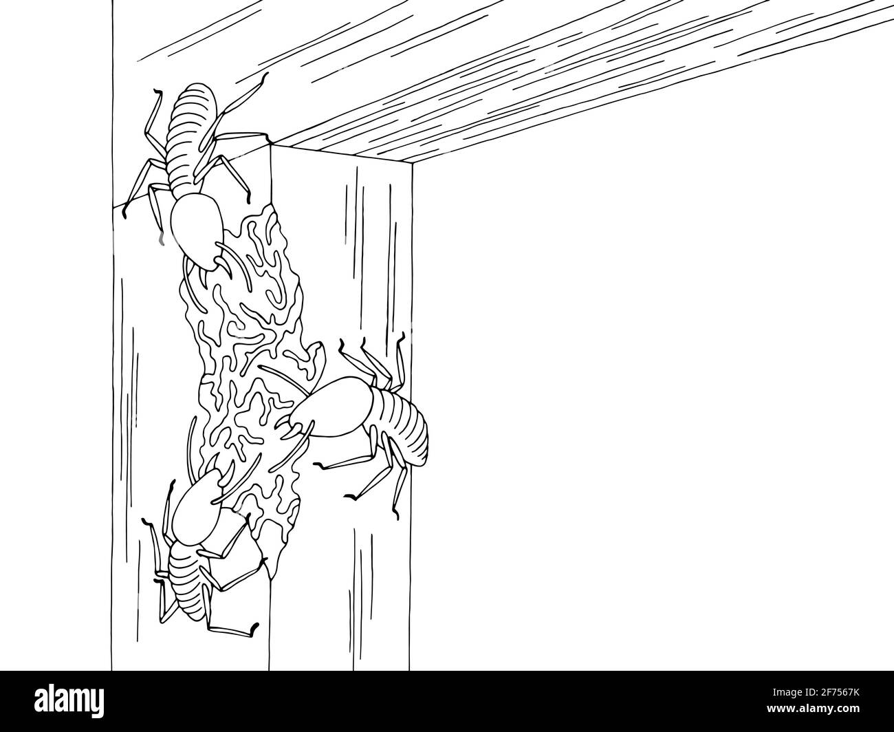 Colony termites stock vector images