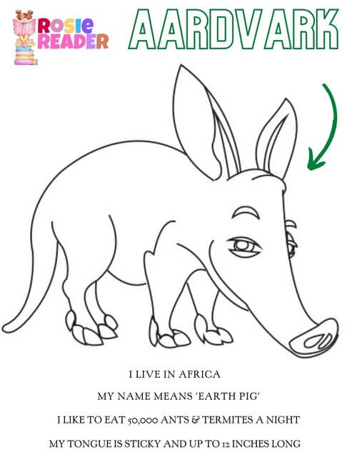 Free aardvark coloring sheet