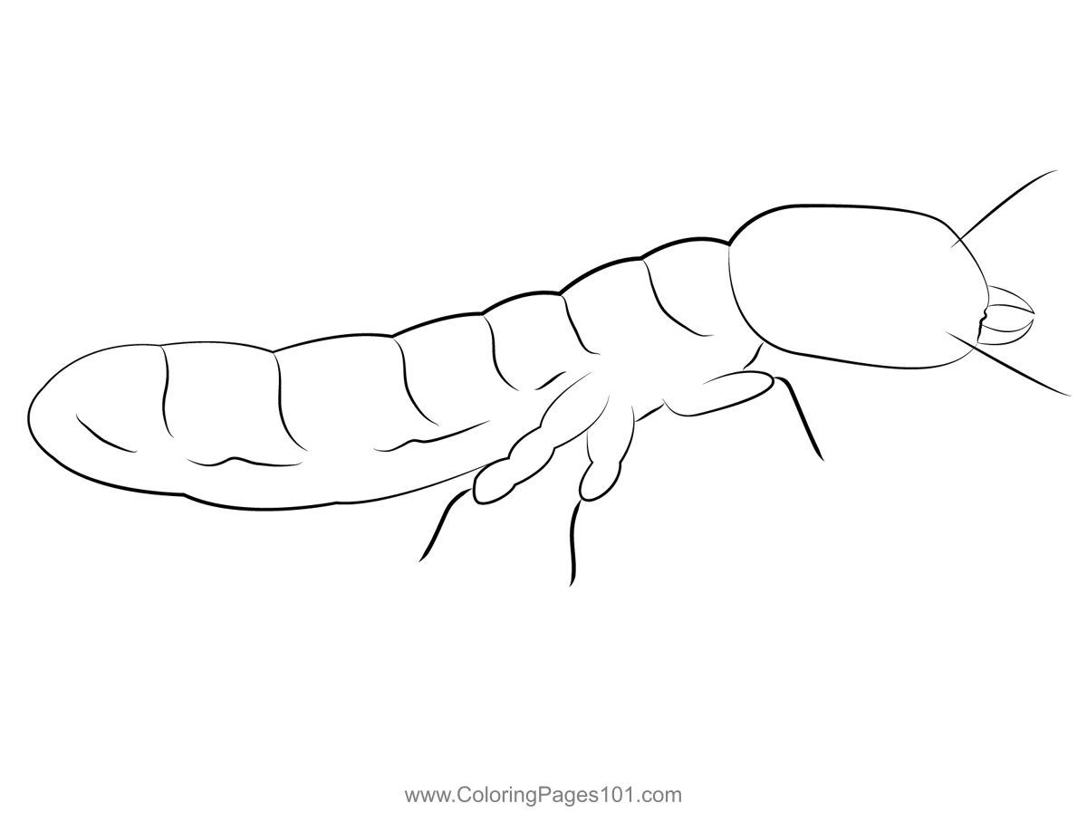 Drywood termite soldier coloring page for kids