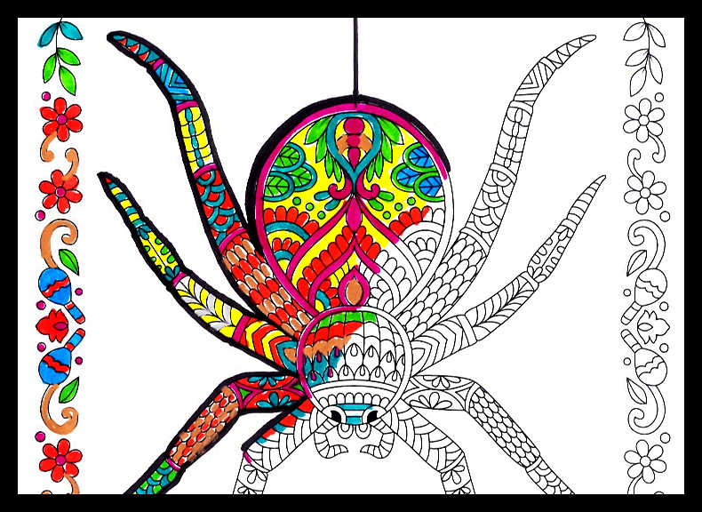 Spider coloring page thrasher termite pest control