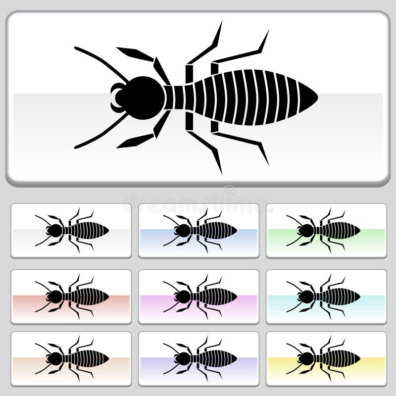 Black termite stock illustrations â black termite stock illustrations vectors clipart