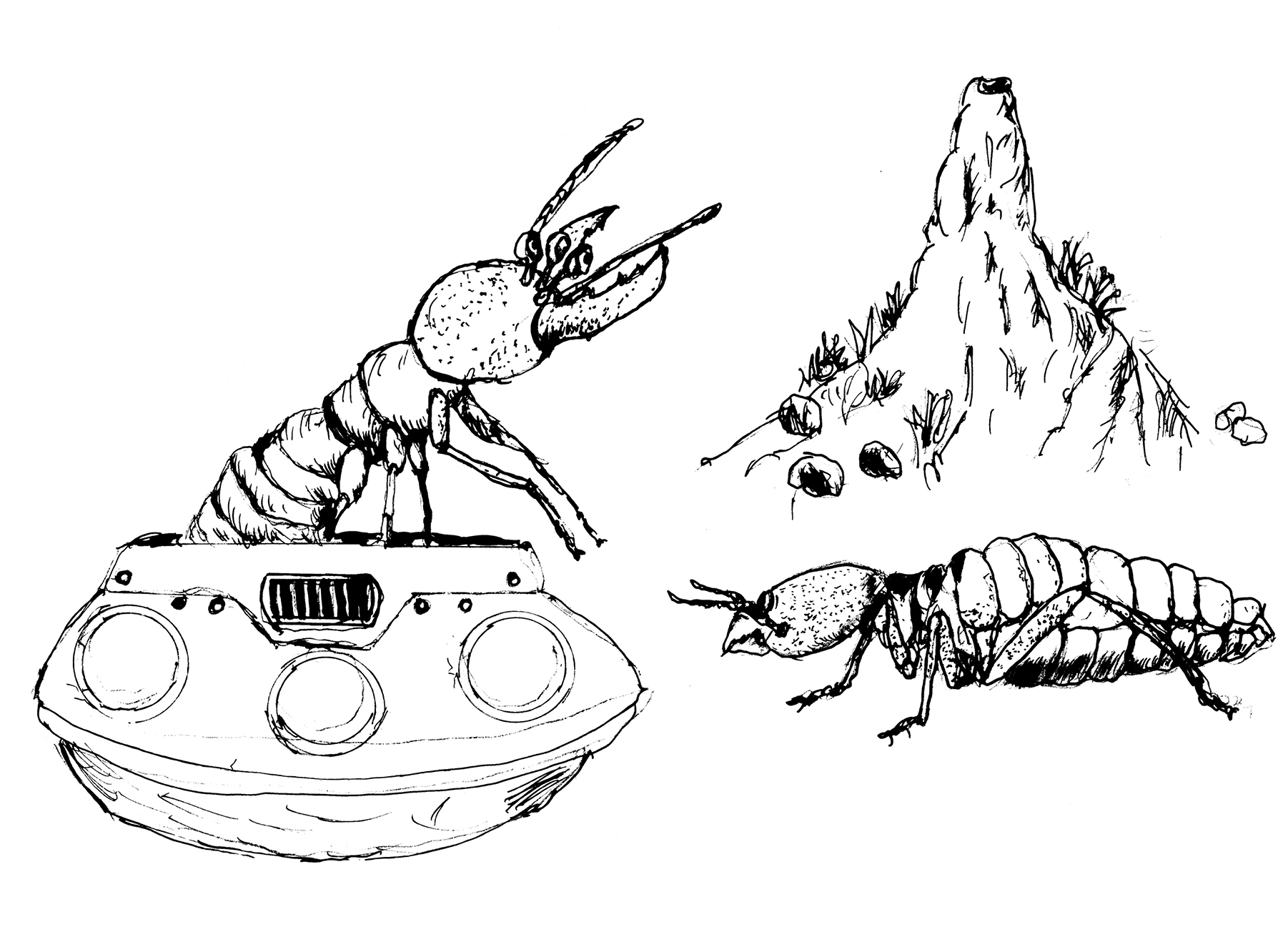 Yes im an alien extraterrestrial termite here to exploit your planets natural resources take me to your cedar â rentomology