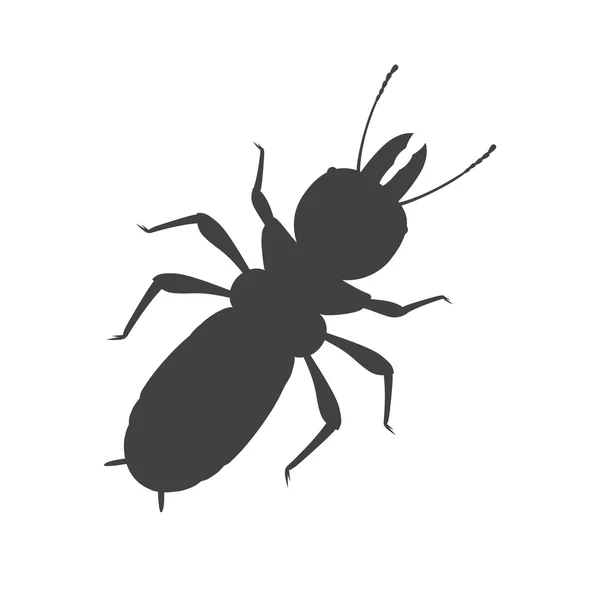 Termite vector images