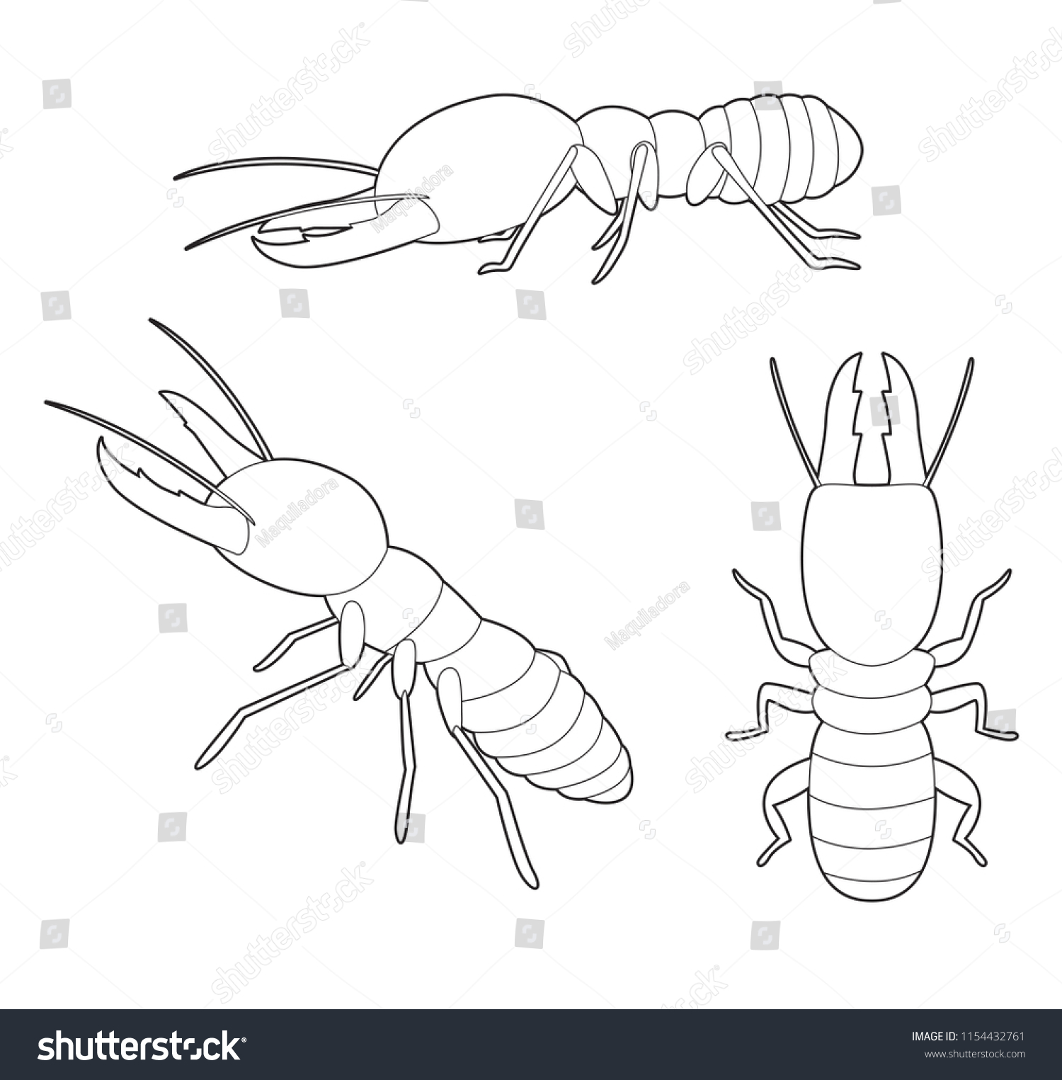 Insect set termite cartoon vector coloring stock vector royalty free