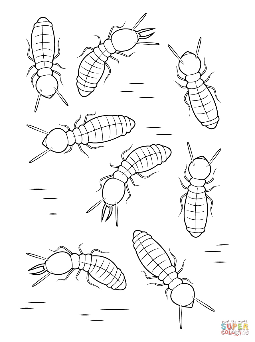 Formosan subterranean termites coloring page free printable coloring pages