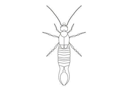 Termite stock illustrations cliparts and royalty free termite vectors