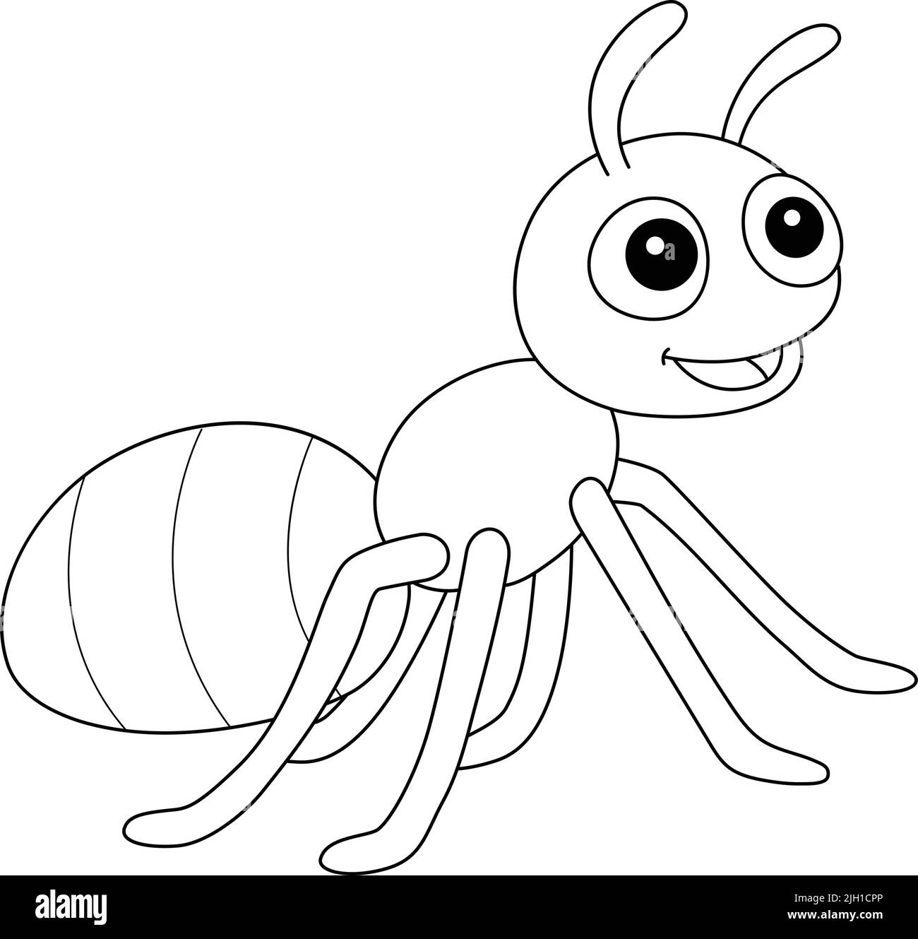 Ant animal cut out stock images pictures