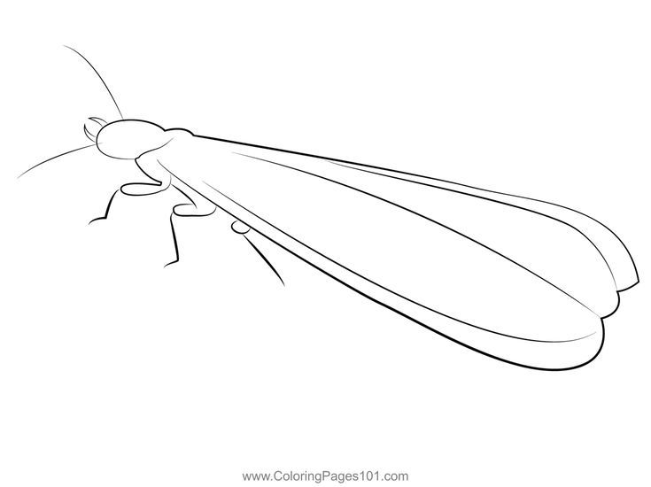 Termites look coloring page coloring pages color coloring pages for kids