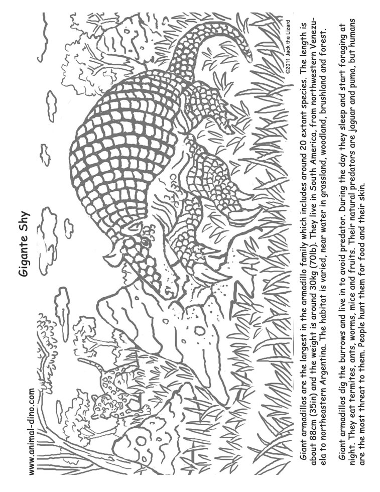 Animal coloring page giant armadillo print size