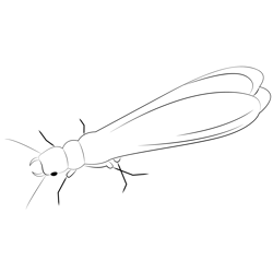 Black termites coloring page for kids