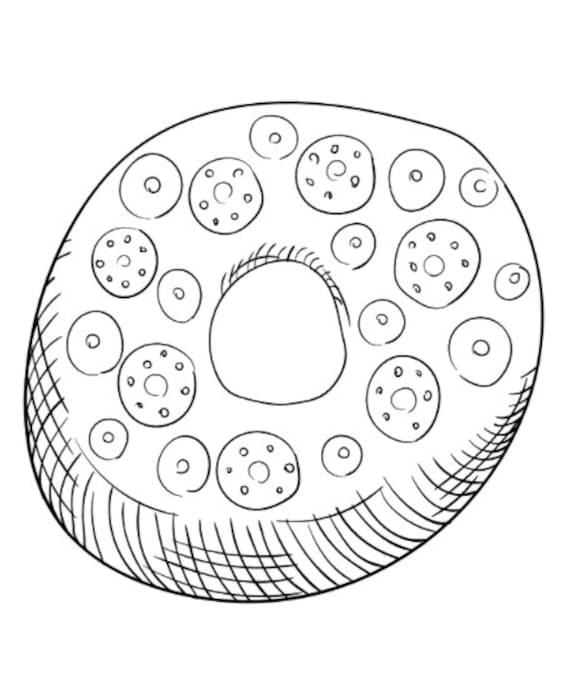 Cute donut coloring pages activity for kids donuts to color kids party activity summer activity
