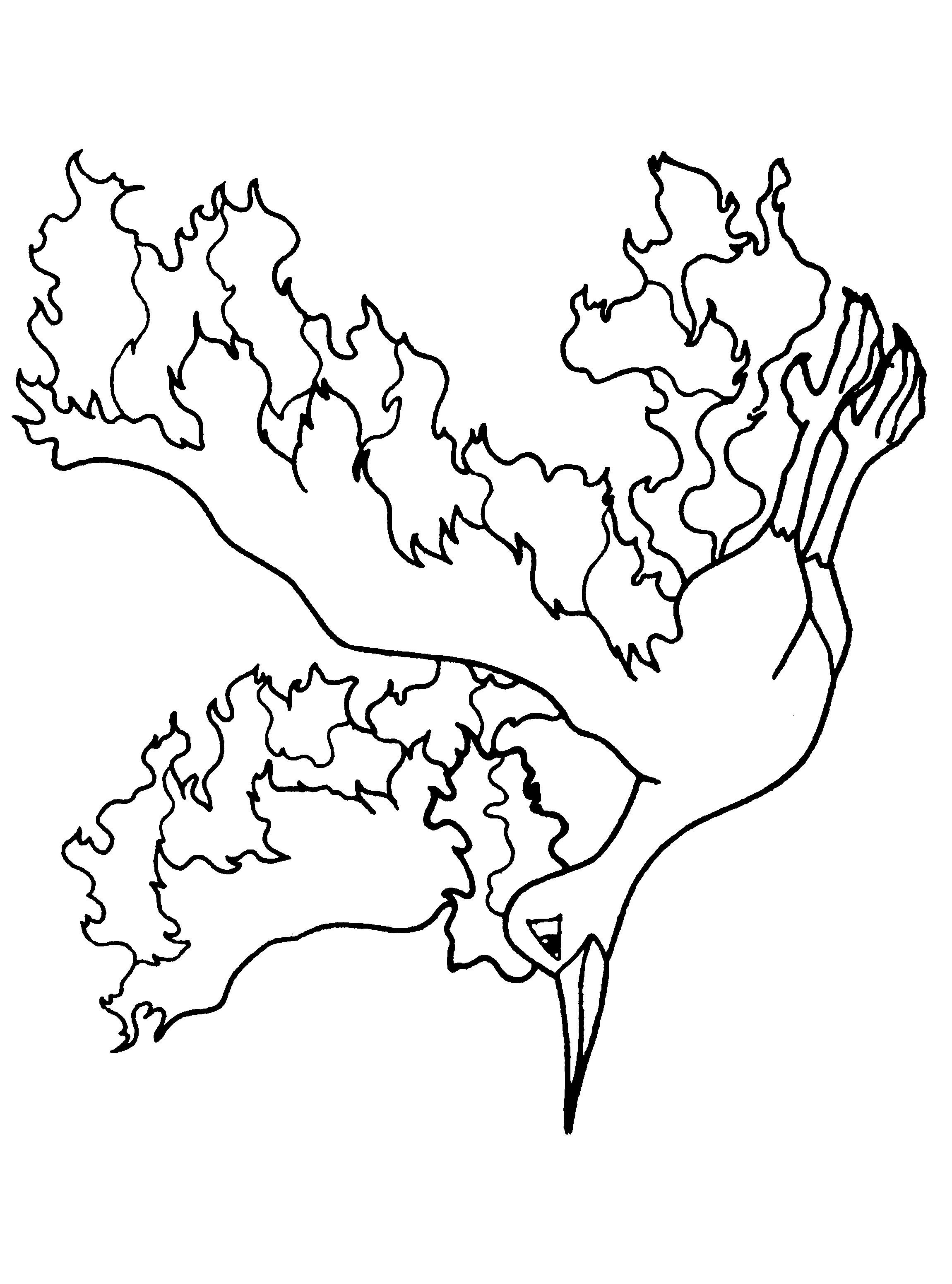 Coloring page