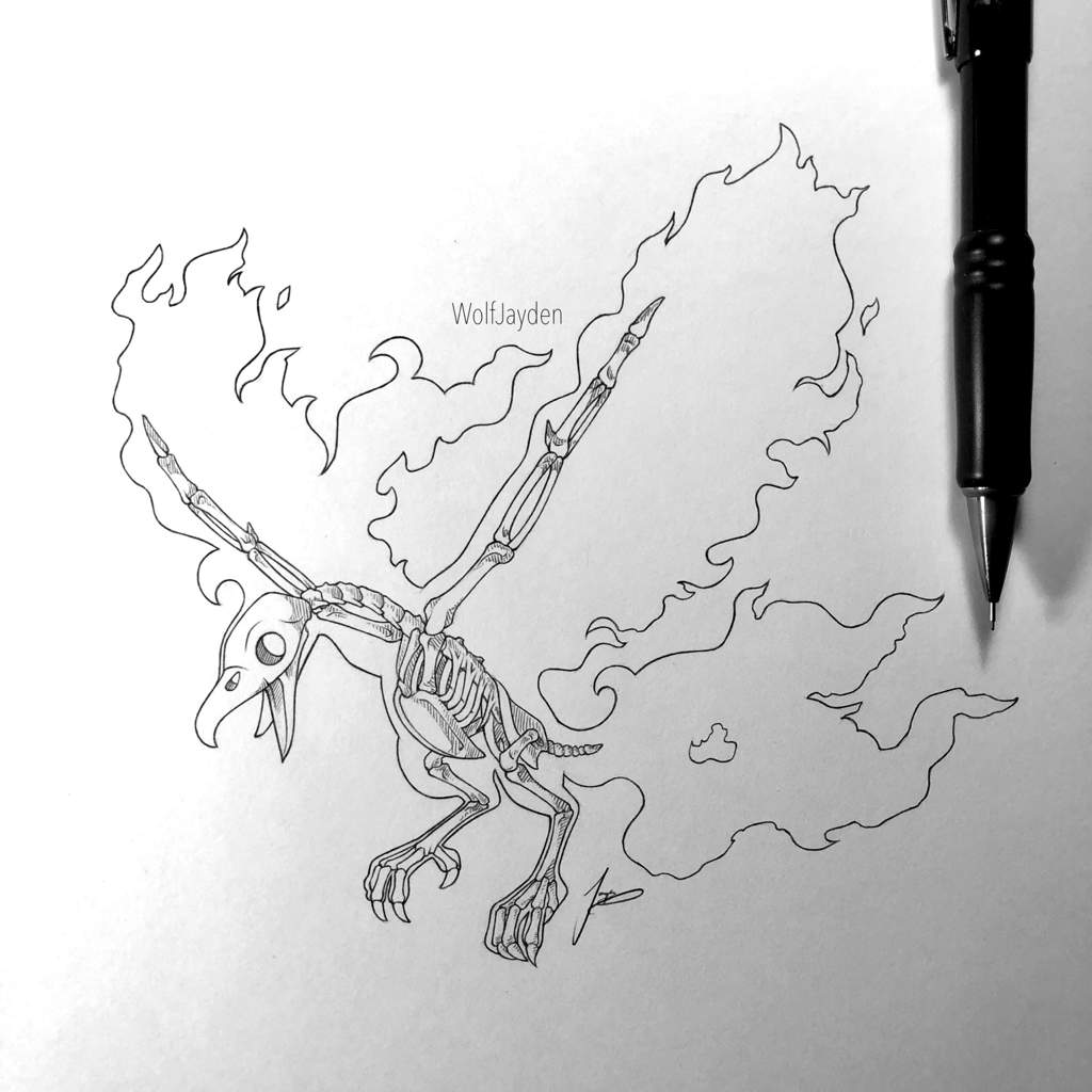 Galarian moltres skeleton pokãmon amino