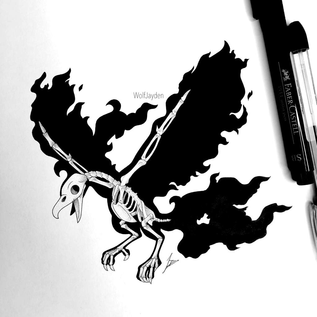 Galarian moltres skeleton pokãmon amino