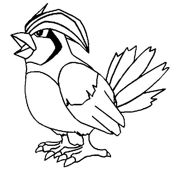 Pidgeotto pokemon coloring pages pokemon coloring horse coloring pages