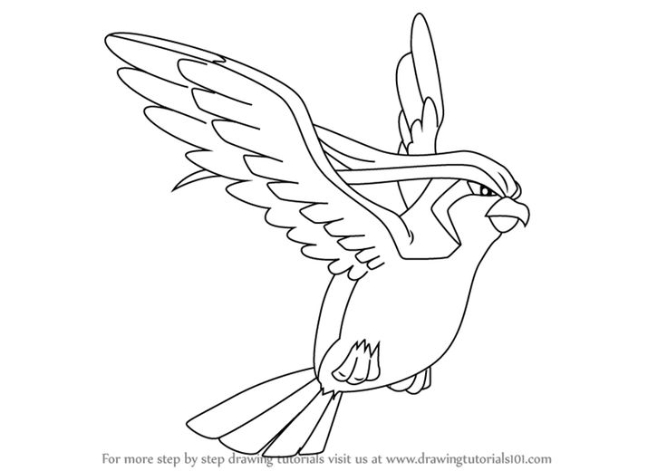Pidgeot is an avian character from pokemon it has large wings and short beak in this tutorial we will draw â pokemon coloring pages pokemon concept art books