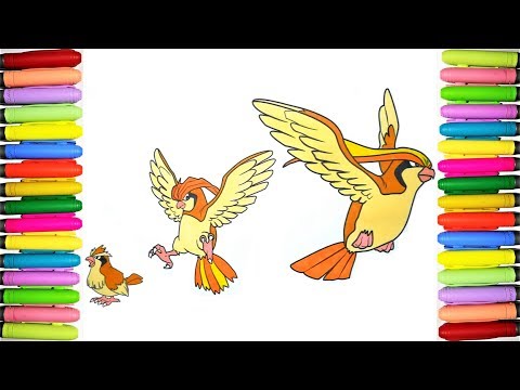 Pokemon coloring pages pidgey pidgeotto and pidgeot